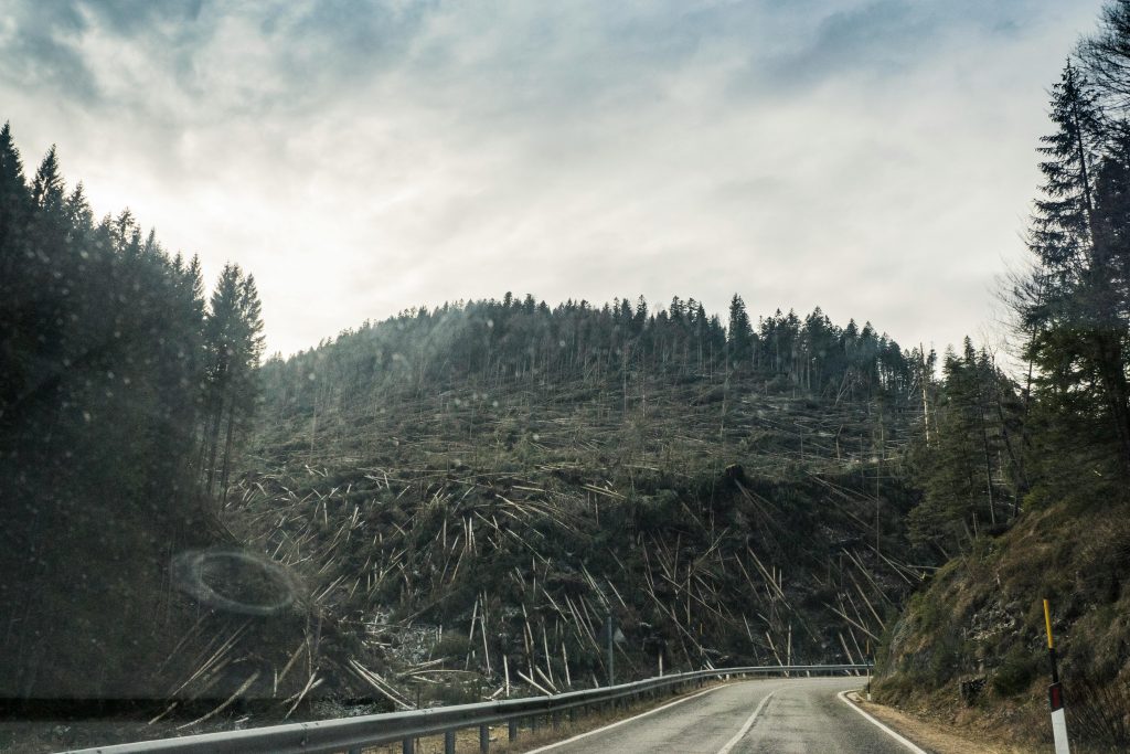 A scenic mountain road amidst deforestation and coniferous trees under a cloudy sky.