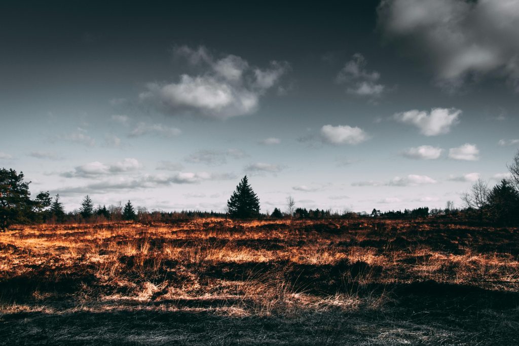 Autumn landscape with dramatic sky, scorched field, and silhouetted trees.